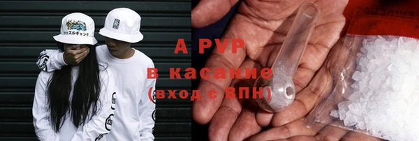 ПСИЛОЦИБИНОВЫЕ ГРИБЫ Гусев