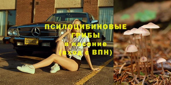 кокс Гусь-Хрустальный