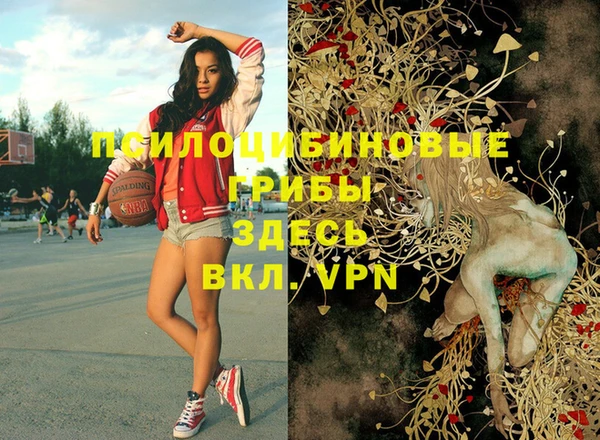 дмт Гусиноозёрск