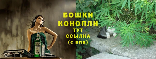 кокс Гусь-Хрустальный
