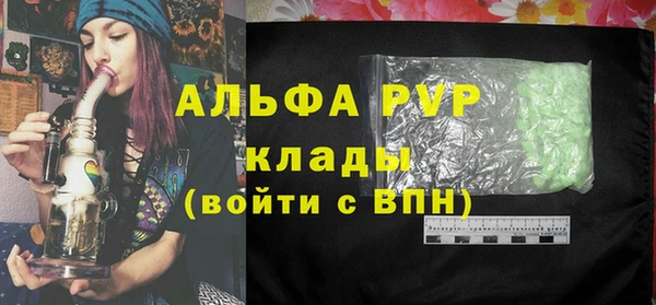 ПСИЛОЦИБИНОВЫЕ ГРИБЫ Гусев