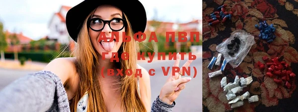 ПСИЛОЦИБИНОВЫЕ ГРИБЫ Гусев