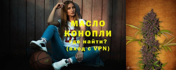 ПСИЛОЦИБИНОВЫЕ ГРИБЫ Гусев