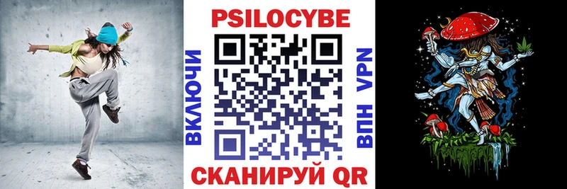 Купить закладки  Богородск  Псилоцибиновые грибы прущие грибы 
